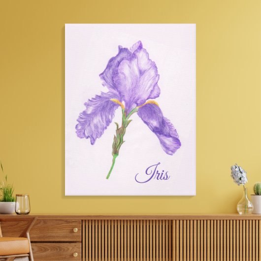 Paarse iris, botanische stijl, gekleurde potloodku canvas afdruk (Insitu (Woonkamer))