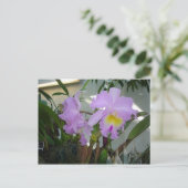 Paarse Iris Briefkaart (Staand voorkant)