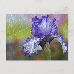 Paarse Iris Briefkaart