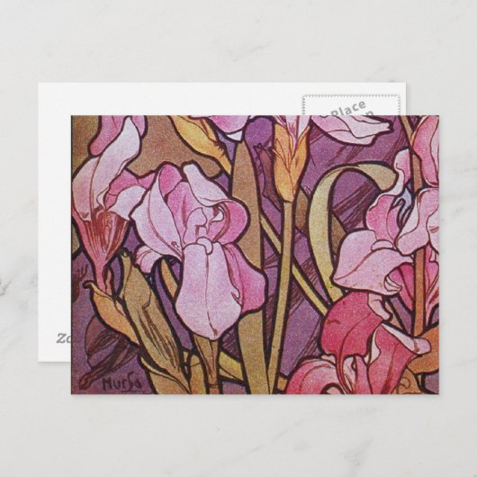 Paarse Iris Briefkaart (Voorkant / Achterkant)