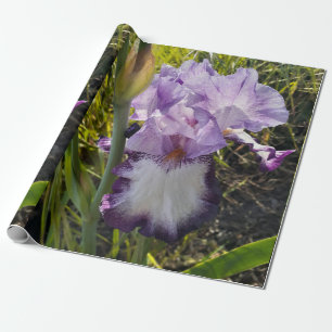 Paarse Iris bruinbloemen Lavender Lila Beared Cadeaupapier
