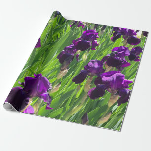 Paarse Iris Cadeaupapier