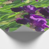 Paarse Iris Cadeaupapier (Hoek)