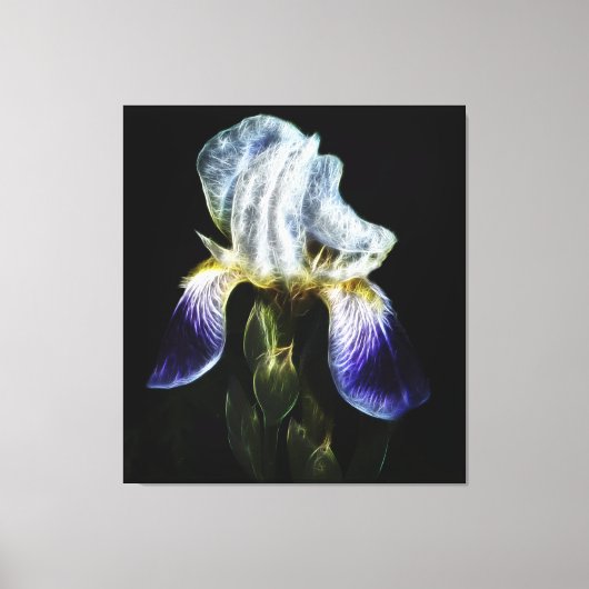 Paarse Iris Canvas Afdruk (Voorkant)