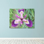 Paarse Iris Canvas afdrukken (Insitu (Houten vloer))