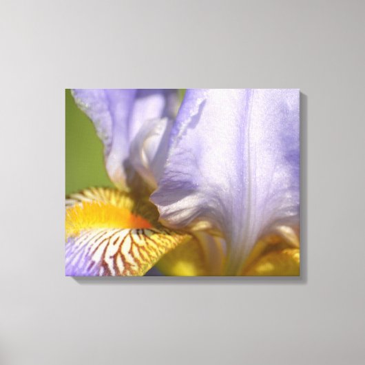 Paarse Iris Flower-fotografie Canvas Afdruk (Voorkant)