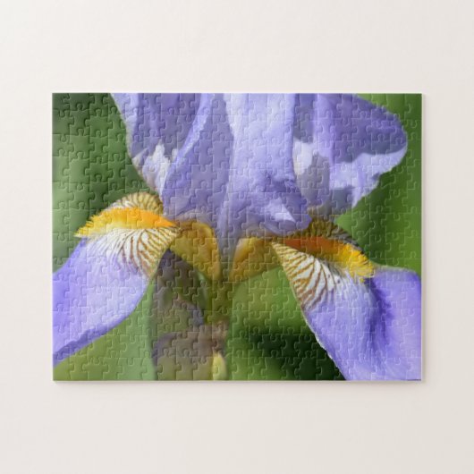 Paarse Iris Flower-fotografie Legpuzzel (Horizontaal)