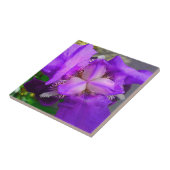 Paarse Iris Flower Tile Tegeltje (Zijkant)