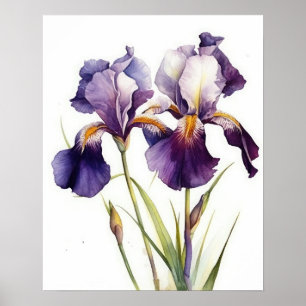 Paarse Iris Flowers Art Print Poster