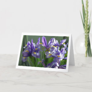 Paarse Iris Flowers Foto Wenskaart Kaart