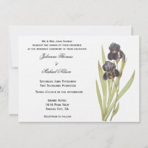 Paarse Iris Flowers Kaart