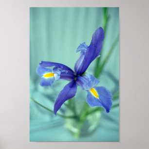 Paarse Iris Flowers Poster Art Print