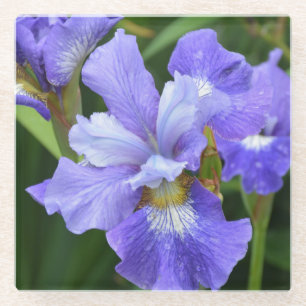 Paarse iris glazen onderzetter