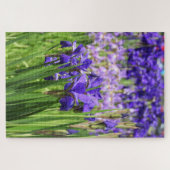Paarse Iris in Bloom, Elizabeth Park Gardens Legpuzzel (Horizontaal)