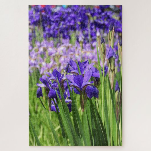 Paarse Iris in Bloom, Elizabeth Park Gardens Legpuzzel (Verticaal)