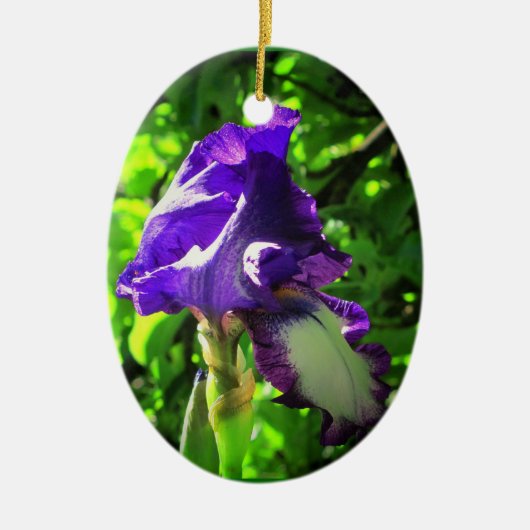 Paarse iris in de zomer keramisch ornament (Voorkant)