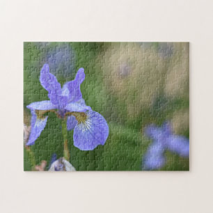 Paarse Iris Iris Bloed Natuur Foto Tuin Legpuzzel