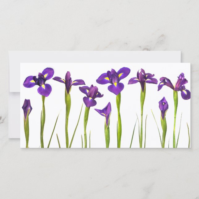 Paarse IRIS - Iris Flower Gepersonaliseerd Sjabloo (Voorkant)