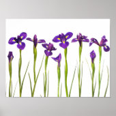 Paarse IRIS - Iris Flower Gepersonaliseerd Sjabloo Poster (Voorkant)