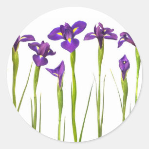 Paarse IRIS - Iris Flower Gepersonaliseerd Sjabloo Ronde Sticker