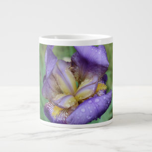 Paarse Iris (Iris Germanica) Jumbo Beker