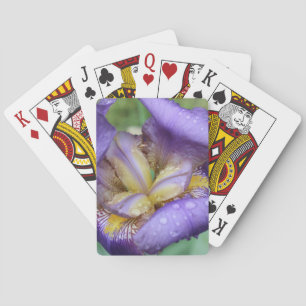 Paarse Iris (Iris Germanica) Speelkaarten