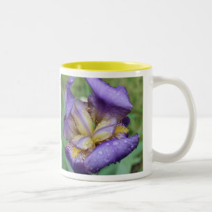 Paarse Iris (Iris Germanica) Tweekleurige Koffiemok