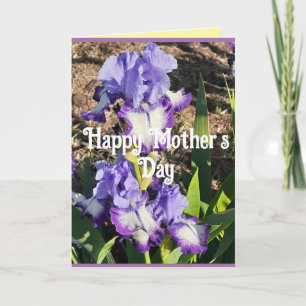 Paarse Iris Irissen Bloem bloemig Moederdag Kaart