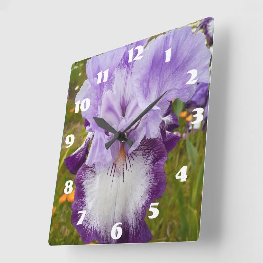 Paarse Iris Irissen Lila Madelief Tuin Bloem  Vierkante Klok (Hoek)