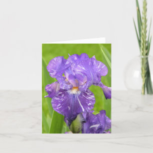 Paarse Iris Kaart