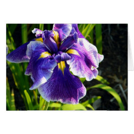 Paarse Iris-kaart