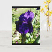 Paarse Iris Kaart (Gele Bloem)