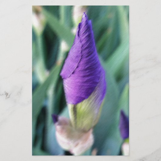 paarse iris knop briefpapier (Voorkant)