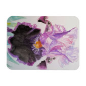 Paarse Iris kunst Bloem Bloemen Aquarel Magneet (Horizontaal)