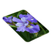 Paarse iris magneet (Rechterzijde)