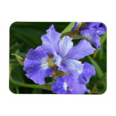 Paarse iris magneet (Horizontaal)