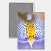 Paarse Iris Magneet (Voorkant / Achterkant)