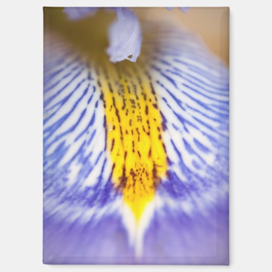 Paarse Iris Magneet (Voorkant)
