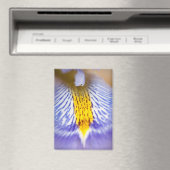 Paarse Iris Magneet (Insitu (Vaatwasser))