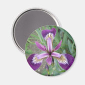 Paarse Iris Magneet (Voorkant / Achterkant)