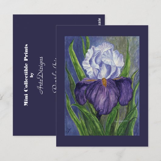 Paarse Iris Mini Collectible Prints Briefkaart (Voorkant / Achterkant)