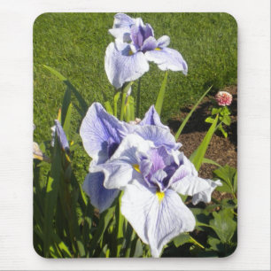 Paarse Iris Mousepad Muismat