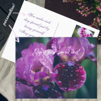 Paarse iris na regen