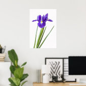 Paarse iris op wit poster (Thuiskantoor)
