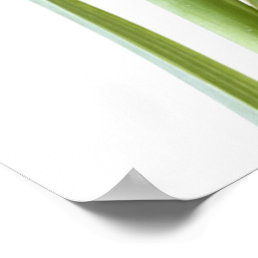 Paarse iris op wit poster (Hoek)