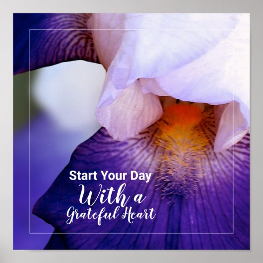 Paarse Iris Photo Grateful Heart Quote Poster (Voorkant)
