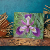 Paarse iris Plaque Fotoplaat (Zijkant)