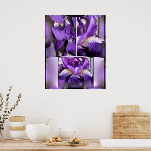 Paarse Iris Poster (Keuken)
