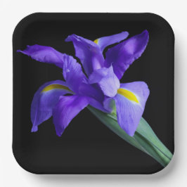 Paarse Iris Square Bord