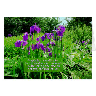 Paarse Iris Standing Tall